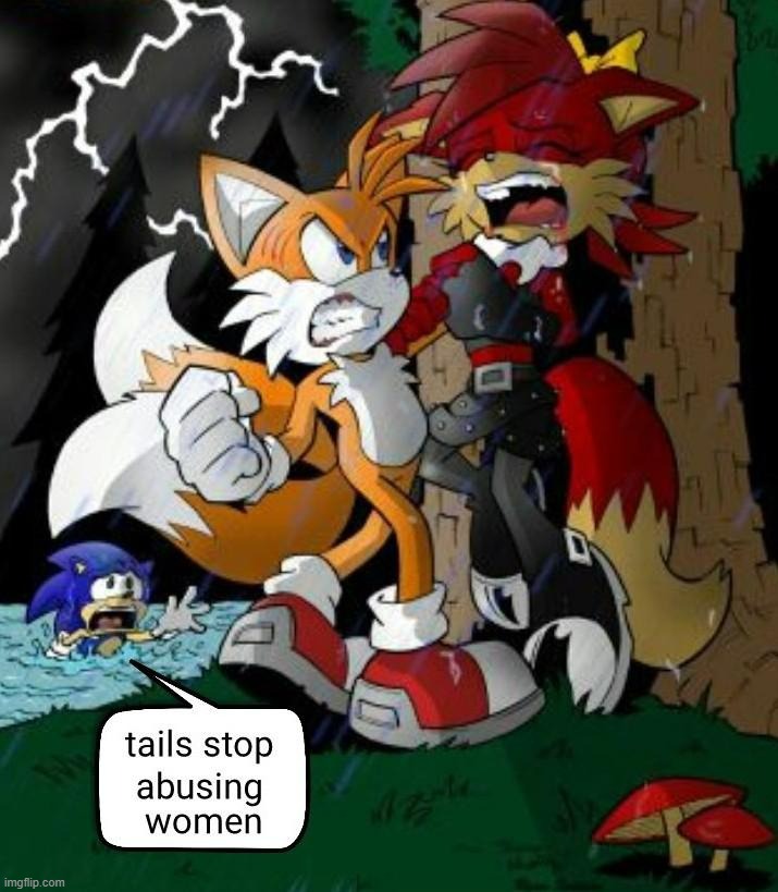 tails stop abusing women | image tagged in tails stop bashing women | made w/ Imgflip meme maker