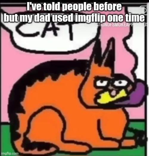 CAT | I've told people before but my dad used imgflip one time | image tagged in cat | made w/ Imgflip meme maker