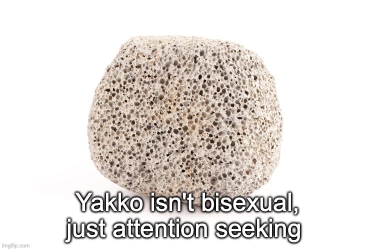 extremely lazy announcement temp | Yakko isn't bisexual, just attention seeking | image tagged in extremely lazy announcement temp | made w/ Imgflip meme maker