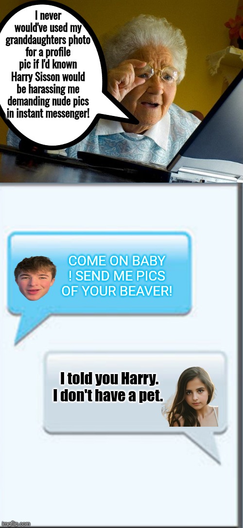 Harry Sisson harassing your grandma for nudes | I never would've used my granddaughters photo for a profile pic if I'd known Harry Sisson would be harassing me demanding nude pics in instant messenger! COME ON BABY ! SEND ME PICS OF YOUR BEAVER! I told you Harry. I don't have a pet. | image tagged in memes,grandma finds the internet,texting meme,horny harry | made w/ Imgflip meme maker