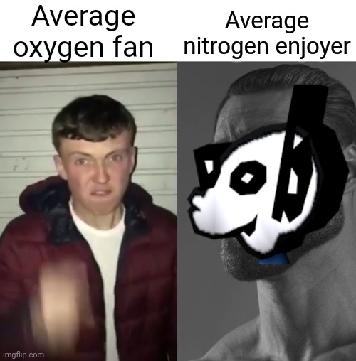 Average Fan vs Average Enjoyer | Average oxygen fan; Average nitrogen enjoyer | image tagged in average fan vs average enjoyer | made w/ Imgflip meme maker