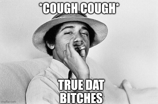 Obama smoking Weed | *COUGH COUGH* TRUE DAT
BITCHES | image tagged in obama smoking weed | made w/ Imgflip meme maker