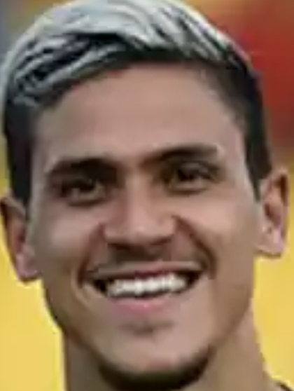 Pedro Flamengo Blank Meme Template