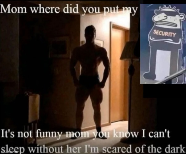 Mom where did you put my _ | image tagged in mom where did you put my _ | made w/ Imgflip meme maker