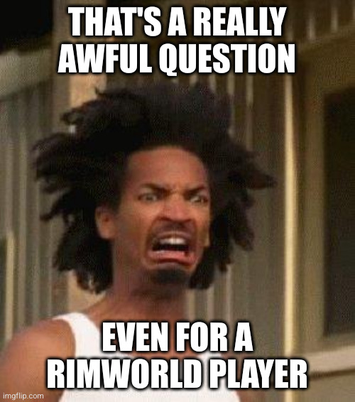 Awful question even for a Rimworld player | THAT'S A REALLY AWFUL QUESTION; EVEN FOR A RIMWORLD PLAYER | image tagged in disgusted face,rimworld,video games | made w/ Imgflip meme maker