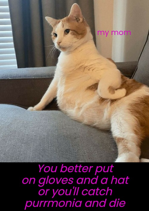 You better put on gloves and a hat
or you'll catch
purrmonia and die my mom | made w/ Imgflip meme maker
