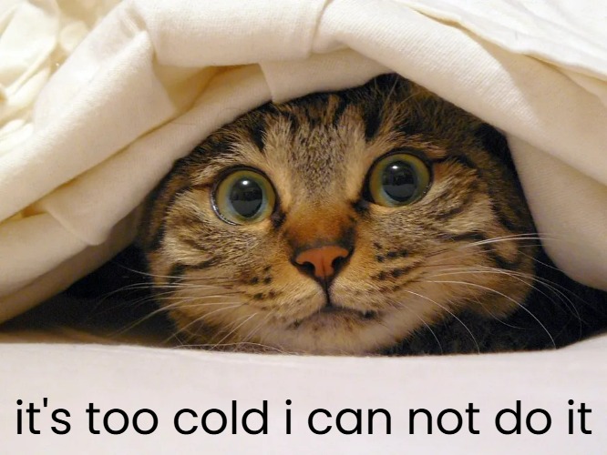 it's too cold i can not do it | made w/ Imgflip meme maker