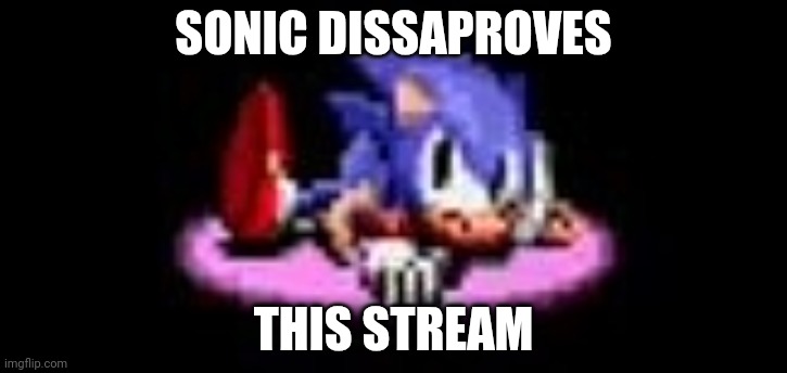 Sonic dissaproves | SONIC DISSAPROVES; THIS STREAM | image tagged in sonic dissaproves | made w/ Imgflip meme maker