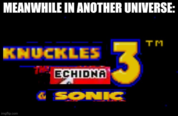 Knuckles & sonic | MEANWHILE IN ANOTHER UNIVERSE: | image tagged in sonic 3 knuckles logo | made w/ Imgflip meme maker