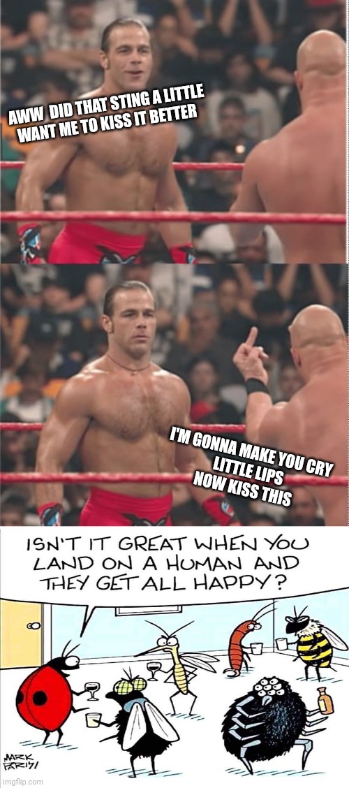 The big talk | AWW  DID THAT STING A LITTLE
WANT ME TO KISS IT BETTER; I'M GONNA MAKE YOU CRY
 LITTLE LIPS
NOW KISS THIS | image tagged in memes | made w/ Imgflip meme maker