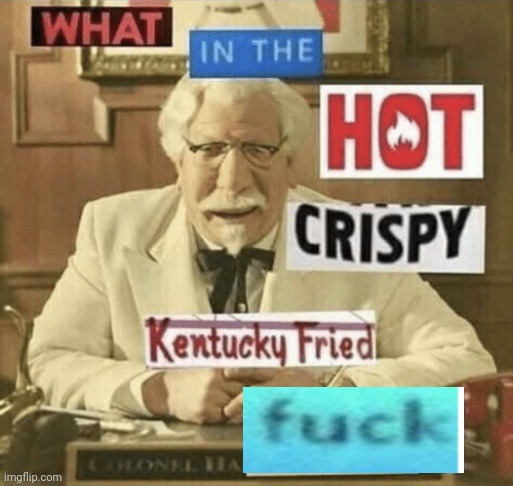 what in the hot crispy kentucky fried frick | image tagged in what in the hot crispy kentucky fried frick | made w/ Imgflip meme maker