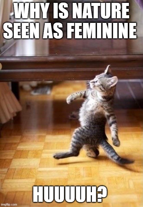 Cool Cat Stroll | WHY IS NATURE SEEN AS FEMININE; HUUUUH? | image tagged in memes,cool cat stroll | made w/ Imgflip meme maker