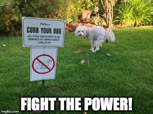 FIGHT THE POWER! | image tagged in fight the power | made w/ Imgflip meme maker