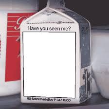 Missing person Blank Meme Template