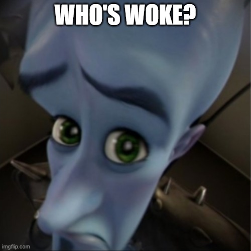 Megamind peeking | WHO'S WOKE? | image tagged in megamind peeking | made w/ Imgflip meme maker