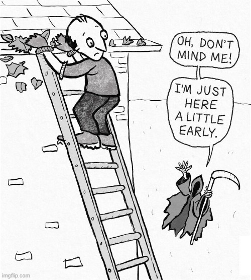 Early Death | image tagged in comics | made w/ Imgflip meme maker