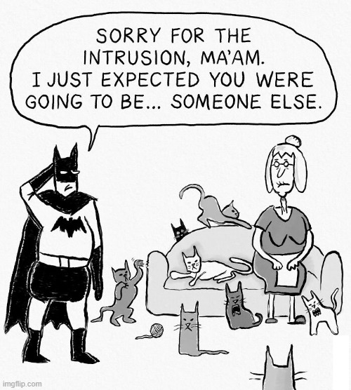 Catwoman | image tagged in comics | made w/ Imgflip meme maker