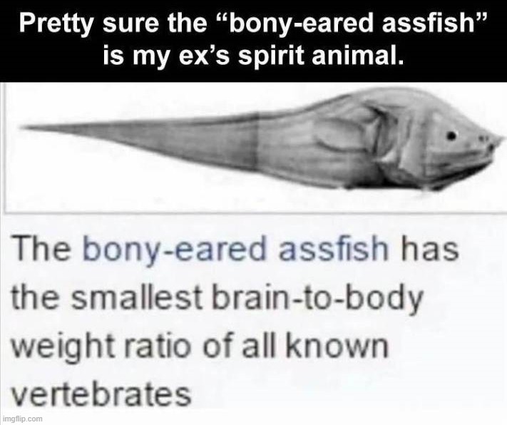 image tagged in brains | made w/ Imgflip meme maker