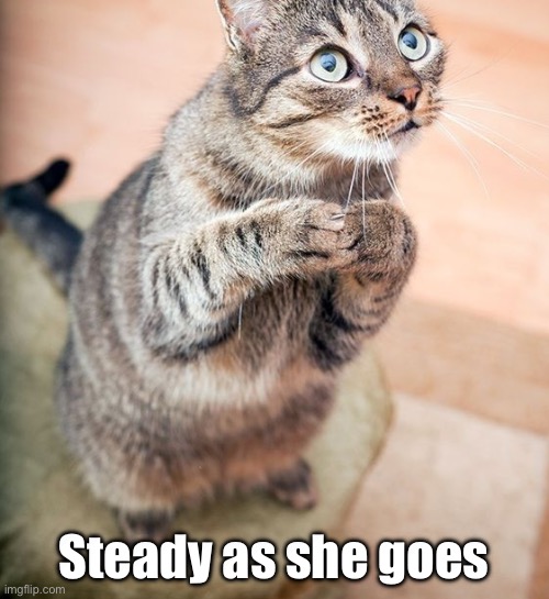 Steady as she goes | made w/ Imgflip meme maker