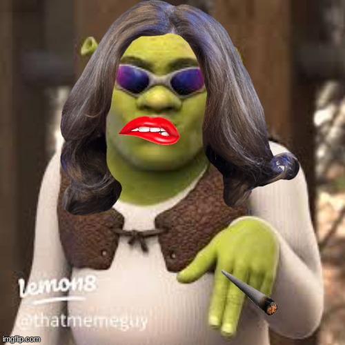 shrek | image tagged in funny memes | made w/ Imgflip meme maker