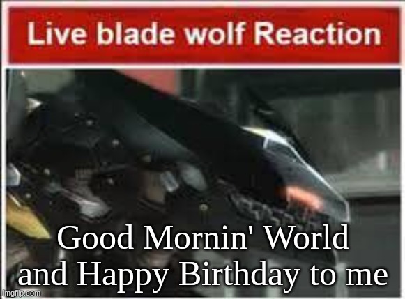 I am so lonely, all the other Valosian's are scared of me, no one talks to me, no one wants to be my friend they think I am unst | Good Mornin' World and Happy Birthday to me | image tagged in live bladewolf reaction | made w/ Imgflip meme maker