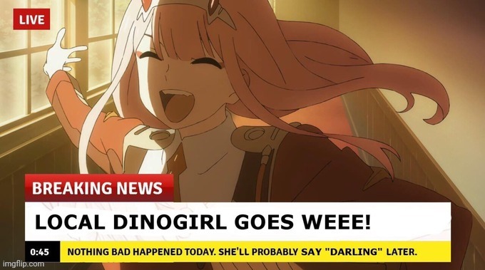 wtf is this | made w/ Imgflip meme maker