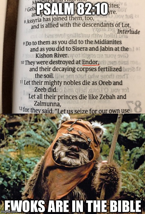 Coincidence? I think NOT! | PSALM 82:10; EWOKS ARE IN THE BIBLE | image tagged in ewok,bible,endor,coincidence i think not | made w/ Imgflip meme maker