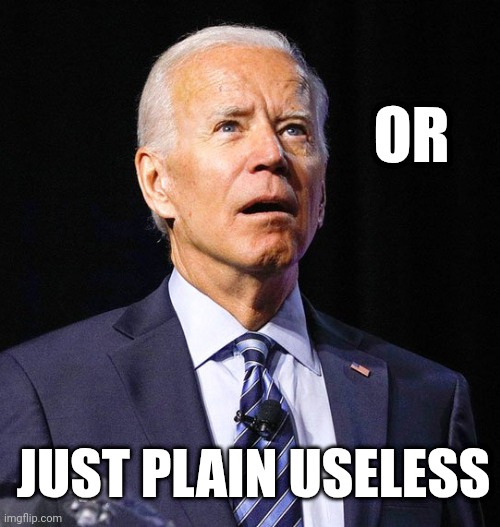 Joe Biden | OR JUST PLAIN USELESS | image tagged in joe biden | made w/ Imgflip meme maker