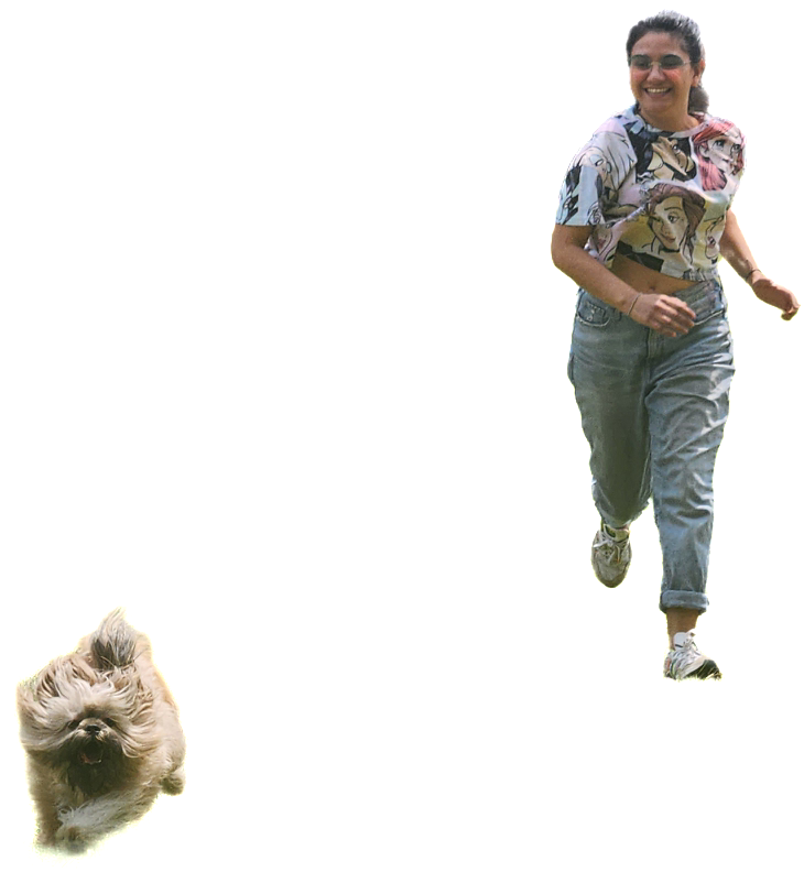 Por mis sueños Blank Meme Template