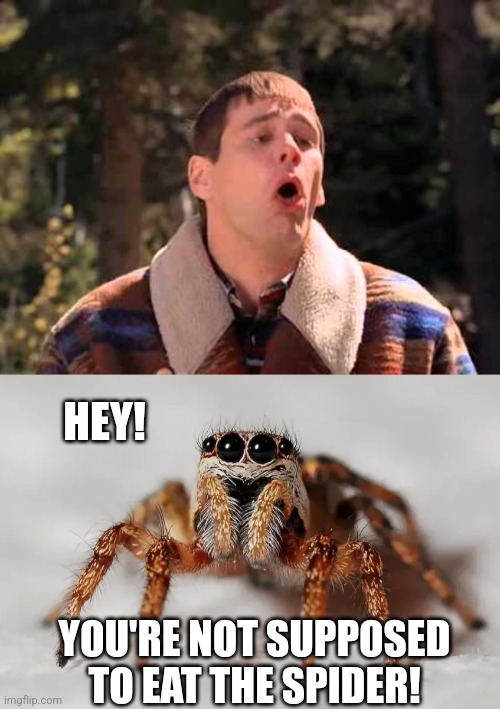 HEY! YOU'RE NOT SUPPOSED TO EAT THE SPIDER! | image tagged in dumb and dumber gagging,hairy spider | made w/ Imgflip meme maker