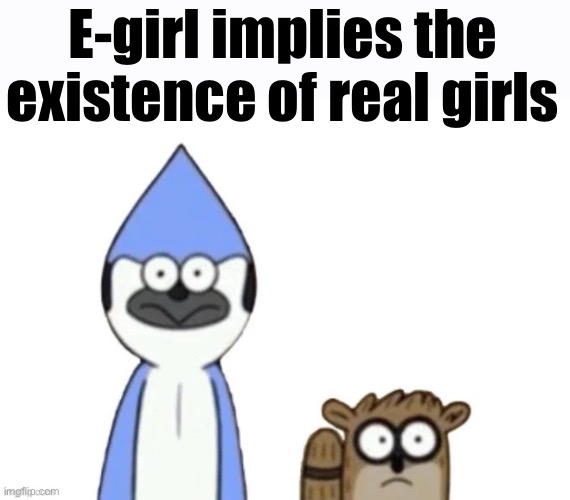 Haste: Broken Worlds is awesome | E-girl implies the existence of real girls | image tagged in haste broken worlds is awesome | made w/ Imgflip meme maker