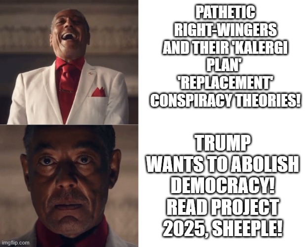 It's a stupid conspiracy theory, except when.... | PATHETIC RIGHT-WINGERS AND THEIR 'KALERGI PLAN'  'REPLACEMENT' CONSPIRACY THEORIES! TRUMP WANTS TO ABOLISH DEMOCRACY! READ PROJECT 2025, SHEEPLE! | image tagged in gus laughing then serious | made w/ Imgflip meme maker
