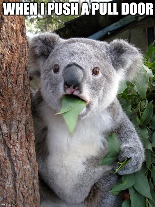Surprised Koala Meme | WHEN I PUSH A PULL DOOR | image tagged in memes,surprised koala | made w/ Imgflip meme maker