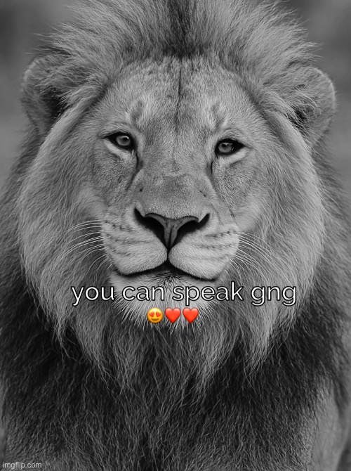 The lion values consent and respect | made w/ Imgflip meme maker