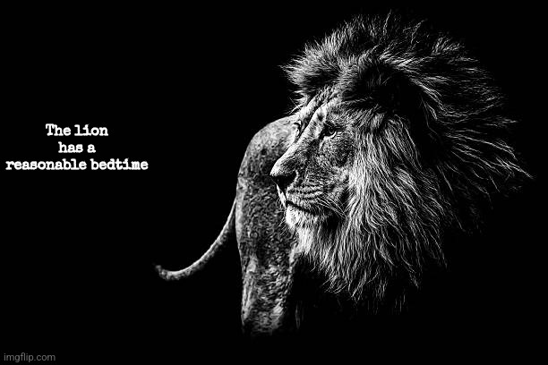 The lion has a reasonable bedtime | made w/ Imgflip meme maker