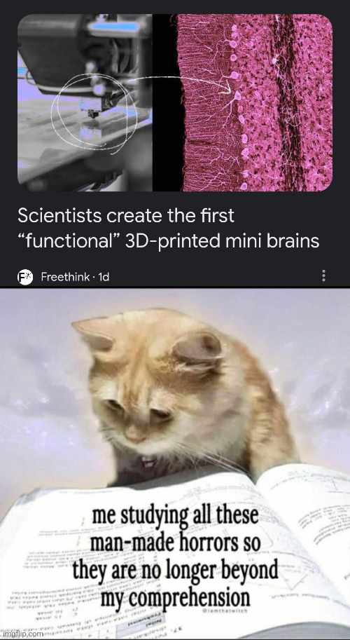 image tagged in me studying all these man made horrors | made w/ Imgflip meme maker