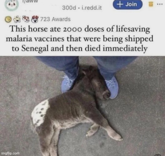 aww | made w/ Imgflip meme maker