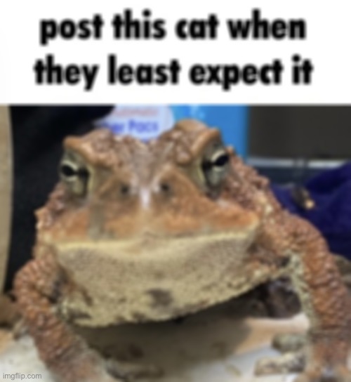 Post him | image tagged in post him | made w/ Imgflip meme maker