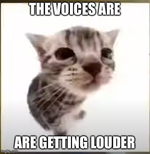 El Gatito | THE VOICES ARE ARE GETTING LOUDER | image tagged in el gatito | made w/ Imgflip meme maker