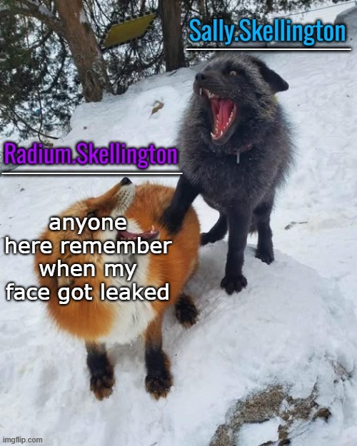 js wondering how many of you have seen it | anyone here remember when my face got leaked | image tagged in radium and sally temp | made w/ Imgflip meme maker