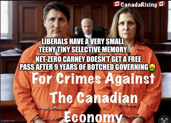 Liberals Have A Teeny Tiny Selective Memory | LIBERALS HAVE A VERY SMALL TEENY TINY SELECTIVE MEMORY; NET-ZERO CARNEY DOESN’T GET A FREE PASS AFTER 9 YEARS OF BOTCHED GOVERNING🤮 | image tagged in liberals have a teeny tiny selective memory | made w/ Imgflip meme maker