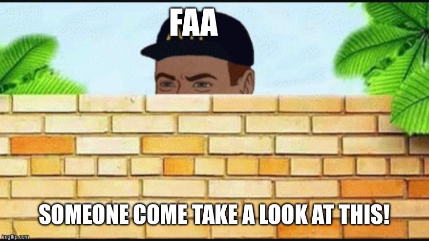 ATF guy hiding behind wall | FAA; SOMEONE COME TAKE A LOOK AT THIS! | image tagged in atf guy hiding behind wall | made w/ Imgflip meme maker