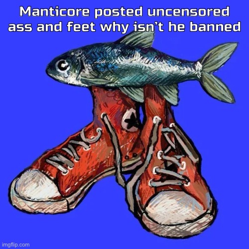 Swag | Manticore posted uncensored ass and feet why isn’t he banned | image tagged in swag | made w/ Imgflip meme maker