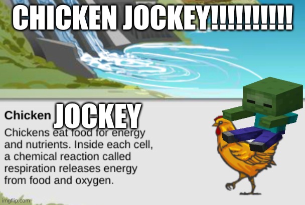 chicken jockey | CHICKEN JOCKEY!!!!!!!!!! JOCKEY | image tagged in chicken,jockey,funny,meme | made w/ Imgflip meme maker