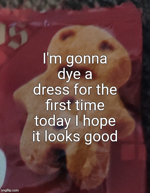 Cookie | I'm gonna dye a dress for the first time today I hope it looks good | image tagged in cookie | made w/ Imgflip meme maker