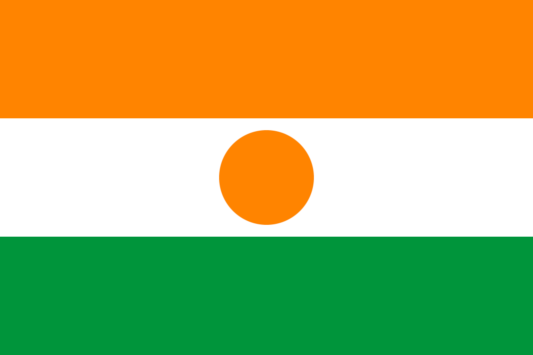 Niger Blank Meme Template