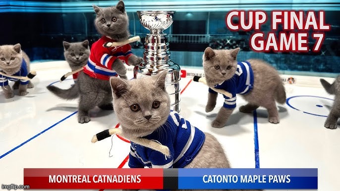 Kitten hockey | made w/ Imgflip meme maker