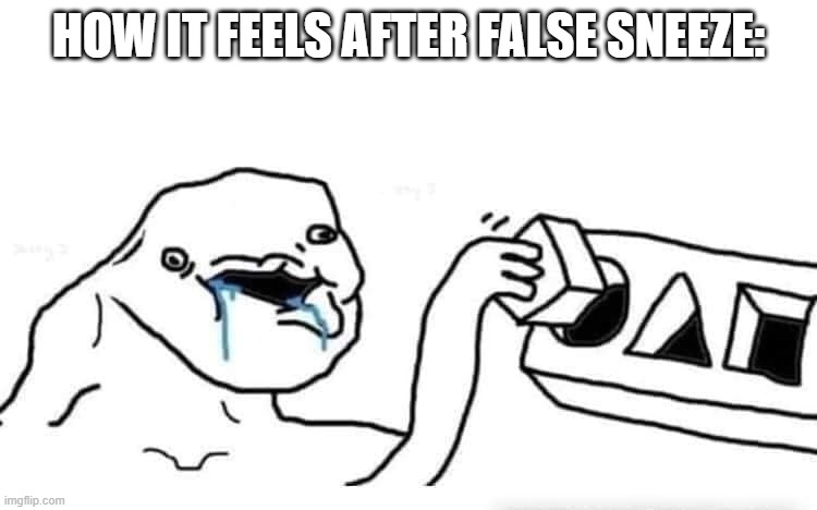 Stupid dumb drooling puzzle | HOW IT FEELS AFTER FALSE SNEEZE: | image tagged in stupid dumb drooling puzzle | made w/ Imgflip meme maker