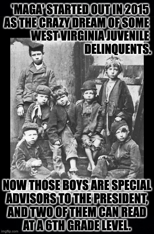 From the frontispiece of 'A Breif Histery of MAGA'. | 'MAGA' STARTED OUT IN 2015 
AS THE CRAZY DREAM OF SOME 
WEST VIRGINIA JUVENILE 
DELINQUENTS. NOW THOSE BOYS ARE SPECIAL
ADVISORS TO THE PRESIDENT,
AND TWO OF THEM CAN READ
AT A 6TH GRADE LEVEL. | image tagged in memes,maga | made w/ Imgflip meme maker