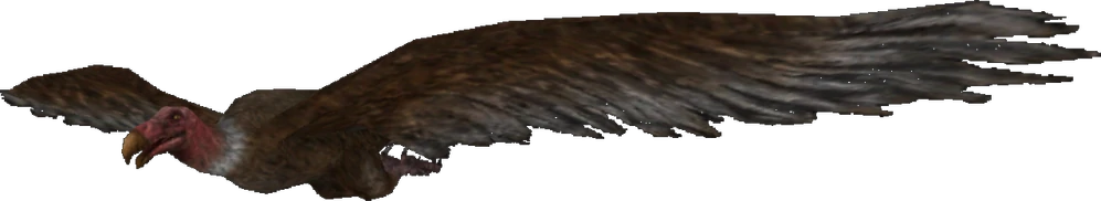 Teratornis (FMM UV-32) Blank Meme Template